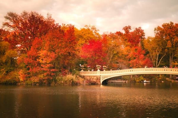 Обои деревья, люди, лодка, bow bridge, соединённые штаты, листья, нью-йорк, зеркало, осень, центральный парк