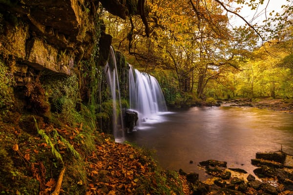 Обои деревья, sgwd ddwli uchaf, водопад, уэльс, brecon beacons national park, осень, река, национальный парк брекон-биконс, англия
