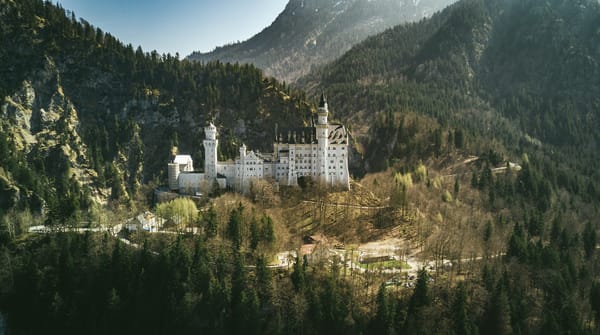 Обои деревья, германия, замок, лес, бавария, горы, замок нойшванштайн