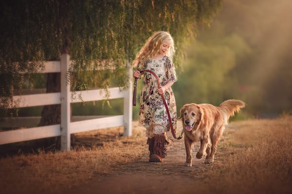 Обои собака, дети, лицо, edie layland, country girl with dog, золотистый ретривер, волосы, девочка